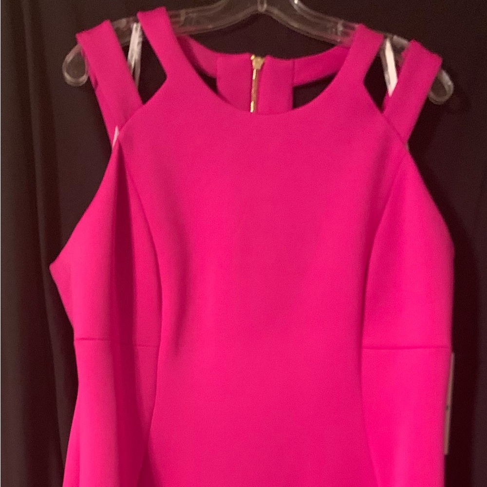Beautiful fuchsia dress with gold zipper!